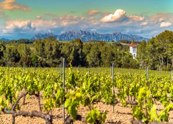 Culinary Short Break to Barcelona: Cooking Class and Wine Tour