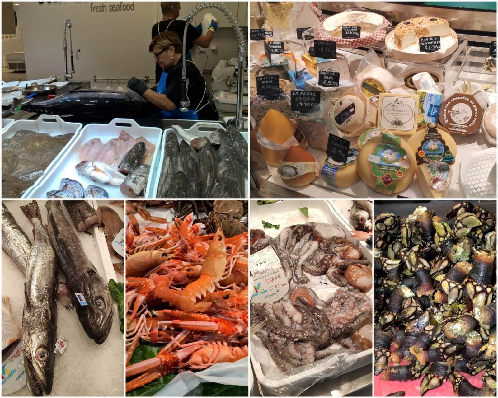 Progreso Market Vigo fresh Galician seafood market on a Vigo food tour Galicia Spain