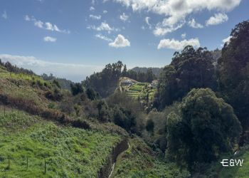Madeira Culinary Day Tour: Artisan Cheese Farm & Cooking Class