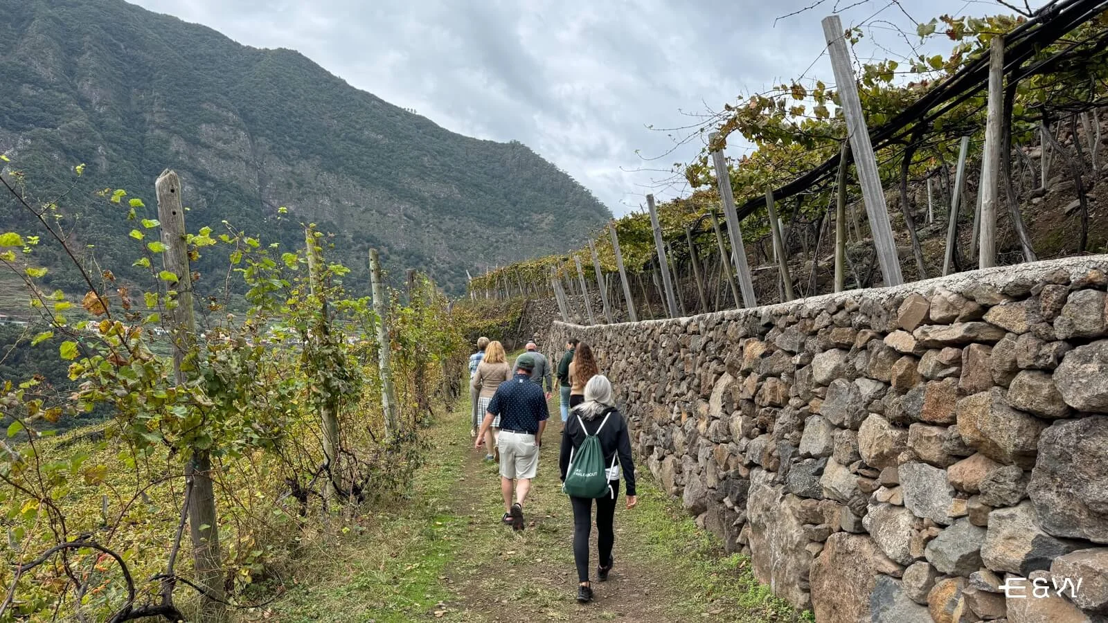 Madeira Gastronomic Jeep Tour: North Coast Nature & Wine Country with tasting - Group Enjoying winery visit at Quinta do Barbusano