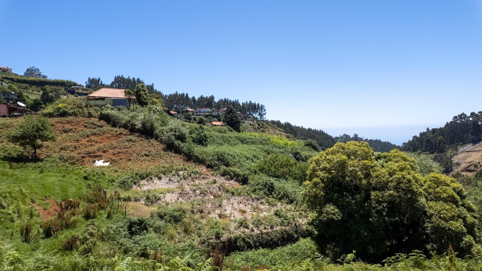 Green rural landscape of Santo da Serra Madeira with forest and Atlantic views