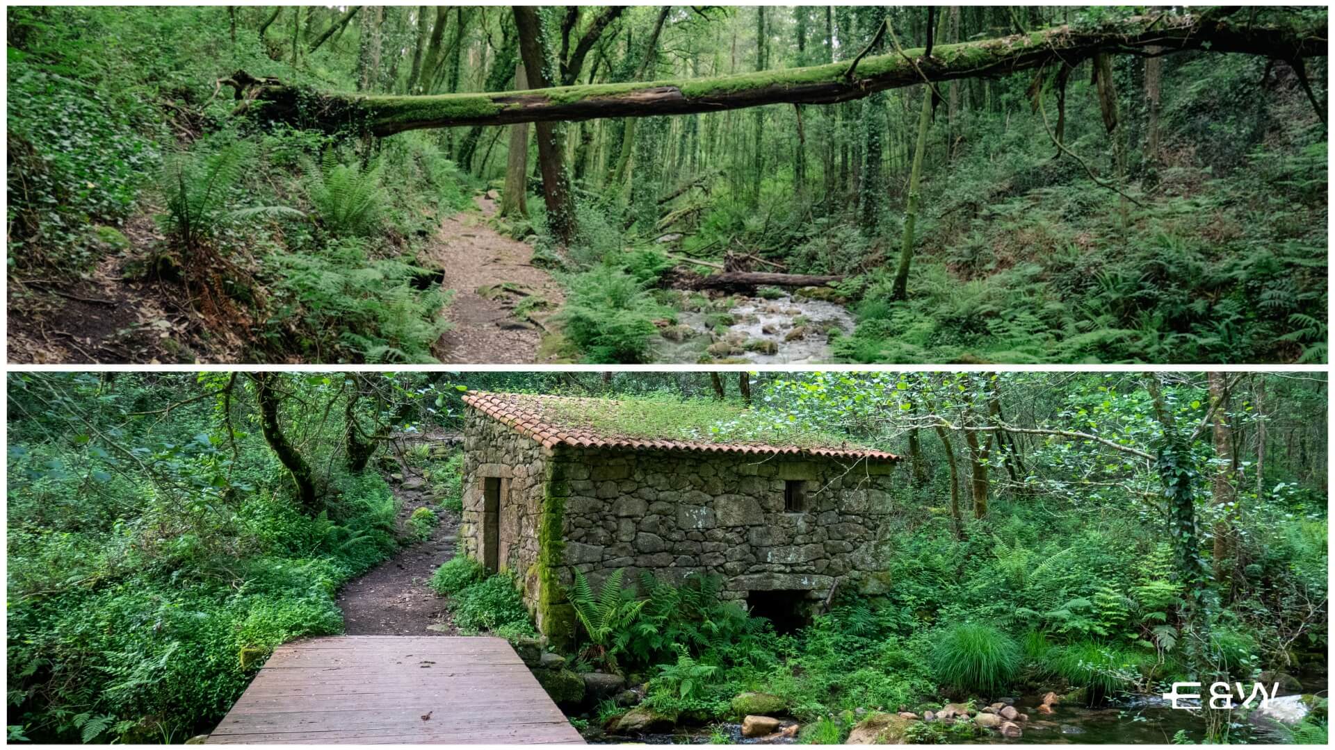 Top 8 Things to do in Moaña, Galicia, Spain - 2. Walk the Magical and Enchanted A Fraga Trail