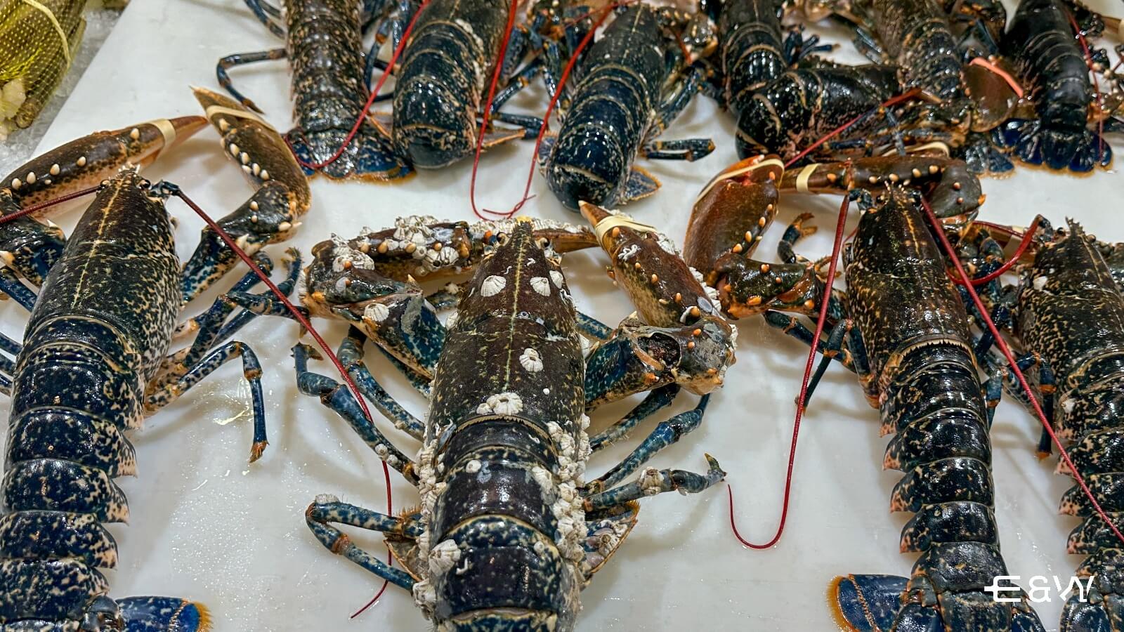 La comida típica de Galicia que no te puedes perder - 1. Marisco gallego, el tesoro del mar