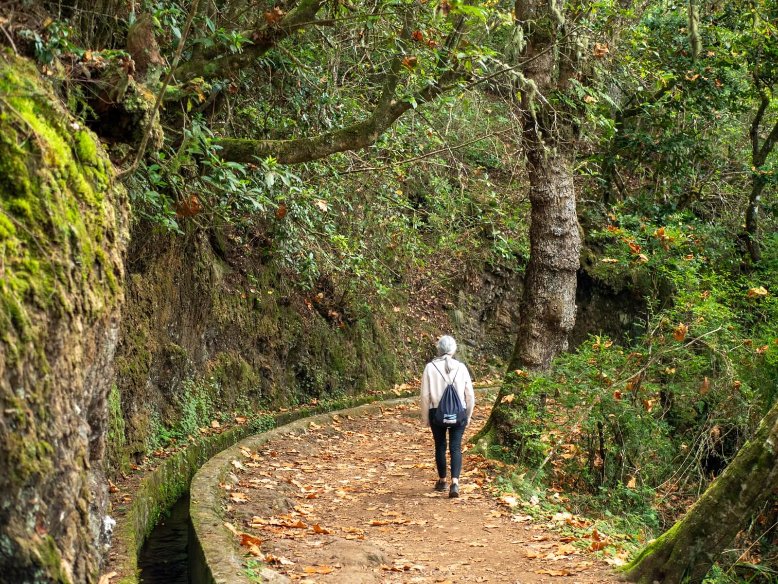 Los Verdaderos Sabores y Belleza Natural de las Islas de Madeira - Levadas de Madeira