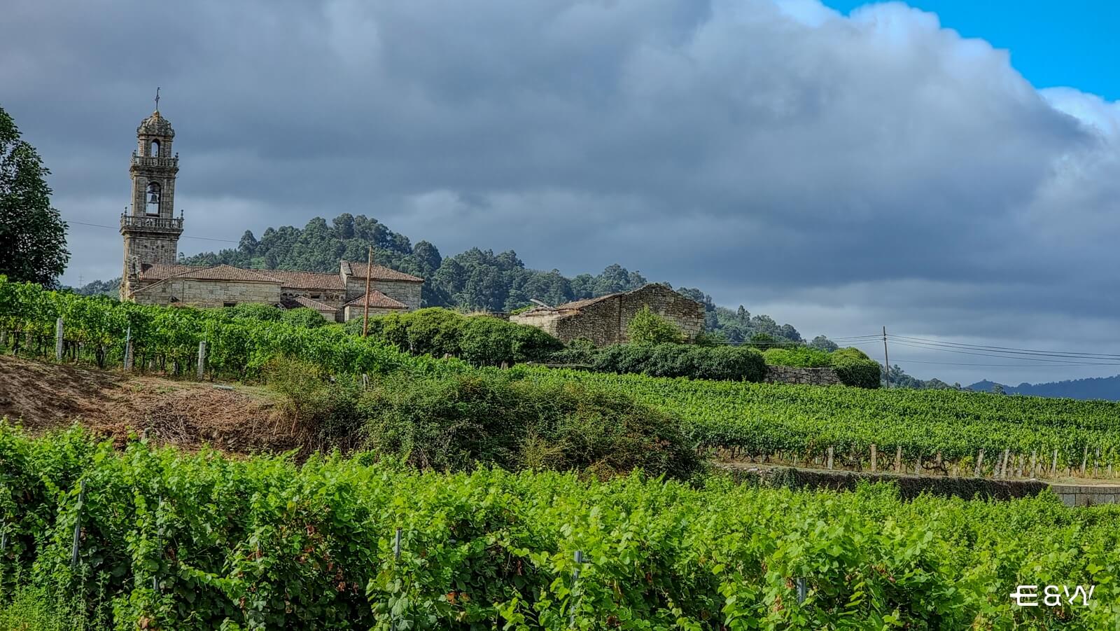 What to do in Galicia? Our top plans - Gastronomic and wine tours in Ribadavia and Arbo
