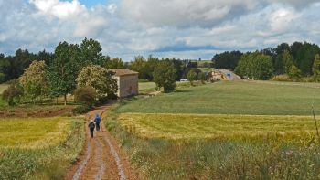 What Camino de Santiago Tour Should I Do? A Food Lover´s Guide to Walking the Camino