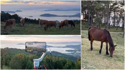 A Groba Hill: Wild Horses Roam Free & Spectacular Sunset over Baiona