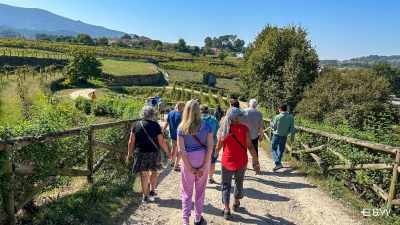 Beyond Borders: Galicia & Portugal - Rias Baixas & Vinho Verde Tour