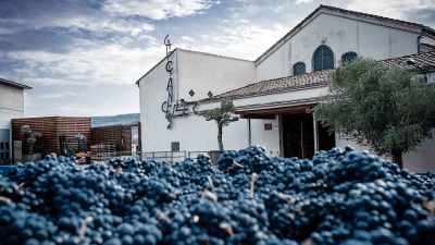 Exclusive Kosher Wine Tour in Priorat