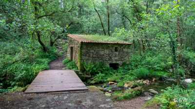  A Fraga River Valley Trail, Goat Cheese Farm & Premium Galician Beef of Moaña