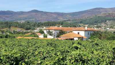 Hotel Rural Quinta do Reguengo Melgaco