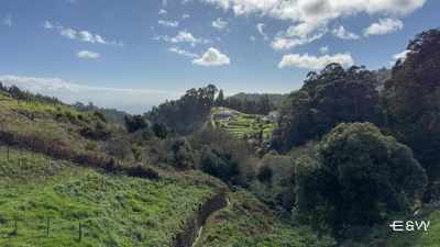 Madeira Culinary Day Tour: Artisan Cheese Farm & Cooking Class