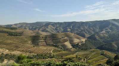 Short break to Porto & Douro Valley: discover local food and wine 