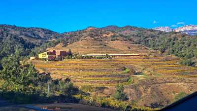 Priorat Gourmet Wine Tour - Premium Tastings & Vineyard Experience