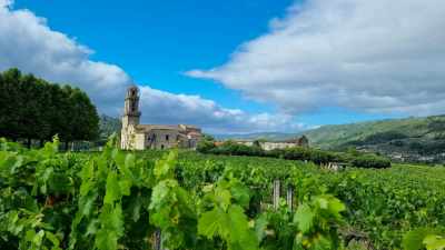 Exploring Ribeiro: Wine Tour & Scenic Nature Trail in Galicia´s Oldest Wine Region