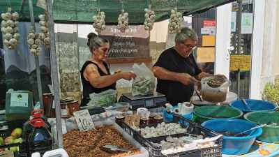 Local Bites & Market Visit in Silves from Lagos