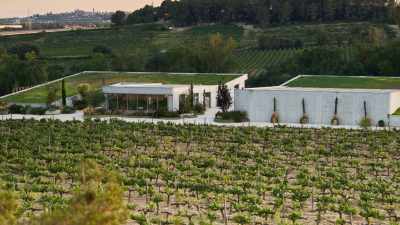 Premium Kosher Wine Tour in Penedes from Barcelona