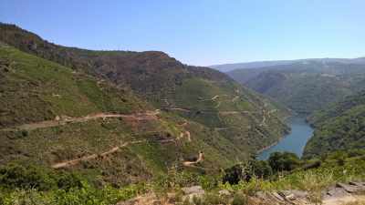 Short Break to Inland Galicia: Discovering the Wine Country