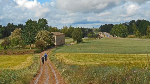 What Camino de Santiago Tour Should I Do? A Food Lover´s Guide to Walking the Camino