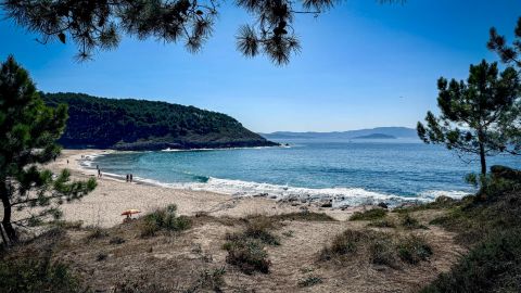 Galicia