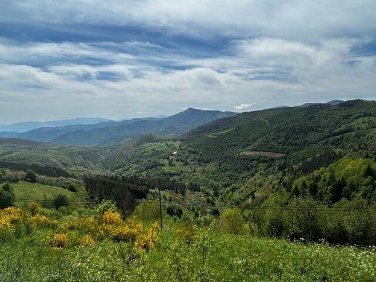 Camino de Santiago & Albariño Wine Tour Review